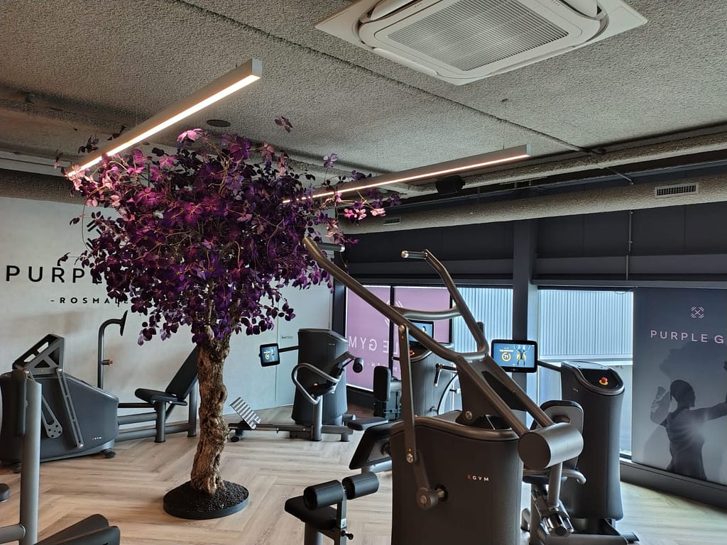 Afbeelding van WhatsApp op 2025-07-19 om 18.47.43_c501bf72